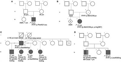 Novel Variants in Individuals with RYR1-Related Congenital Myopathies: Genetic, Laboratory, and Clinical Findings